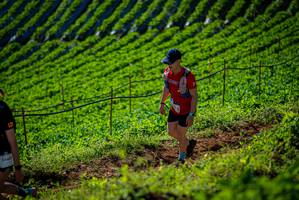 BIB: 3460
                            <button type="button" onclick="openModal(19161145)" class="btn btn-primary btn-sm float-right btn-popup" data-toggle="modal" data-target=".modal-high-quality">
                        <i class="fas fa-shopping-cart"></i> Add to Cart
                    </button>
                                            <button type="button" onclick="isThisMe(19161145, true)" class="btn btn-success btn-sm float-right btn-popup btn-isme hidden" data-toggle="tooltip" data-placement="bottom" title="นี่คือรูปของคุณใช่ไหม คลิกที่นี่เพื่อเอาเข้าอัลบั้ม">
                        <i class="fas fa-plus"></i> Add to album
                    </button>
                    <button type="button" onclick="isThisMe(19161145, false)" class="btn btn-warning btn-sm float-right btn-popup btn-isnotme hidden">
                        <i class="fas fa-ban"></i> Remove from album
                    </button>